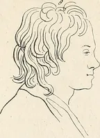 Picture 40 of 164 from L'art de connaitre les hommes par la physionomie (1806), leaf 150