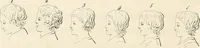 Picture 46 of 164 from L'art de connaitre les hommes par la physionomie (1806), leaf 153