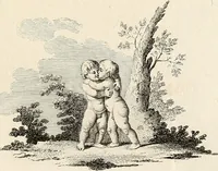 Picture 49 of 164 from L'art de connaitre les hommes par la physionomie (1806), leaf 156