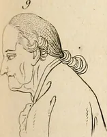Picture 70 of 164 from L'art de connaitre les hommes par la physionomie (1806), leaf 196