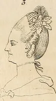 Picture 74 of 164 from L'art de connaitre les hommes par la physionomie (1806), leaf 201