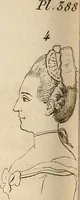 Picture 75 of 164 from L'art de connaitre les hommes par la physionomie (1806), leaf 201