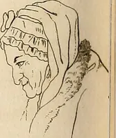 Picture 81 of 164 from L'art de connaitre les hommes par la physionomie (1806), leaf 201