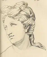Picture 85 of 164 from L'art de connaitre les hommes par la physionomie (1806), leaf 248