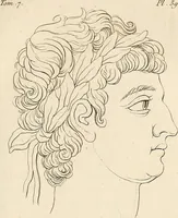 Picture 88 of 164 from L'art de connaitre les hommes par la physionomie (1806), leaf 254