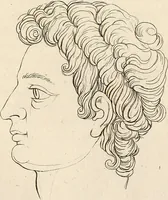 Picture 89 of 164 from L'art de connaitre les hommes par la physionomie (1806), leaf 254