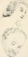 An illustration from L'art de connaitre les hommes par la physionomie (1806)