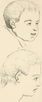 Picture 102 of 164 from L'art de connaitre les hommes par la physionomie (1806), leaf 295