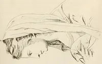 Picture 122 of 164 from L'art de connaitre les hommes par la physionomie (1806), leaf 344