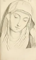 Picture 124 of 164 from L'art de connaitre les hommes par la physionomie (1806), leaf 352