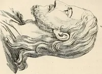 Picture 125 of 164 from L'art de connaitre les hommes par la physionomie (1806), leaf 373