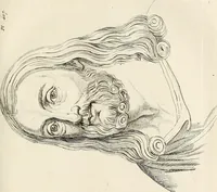 Picture 129 of 164 from L'art de connaitre les hommes par la physionomie (1806), leaf 382