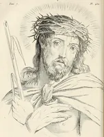 Picture 135 of 164 from L'art de connaitre les hommes par la physionomie (1806), leaf 401
