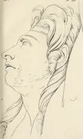 Picture 142 of 164 from L'art de connaitre les hommes par la physionomie (1806), leaf 418