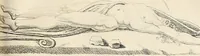 Picture 153 of 164 from L'art de connaitre les hommes par la physionomie (1806), leaf 460