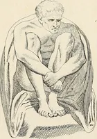 Picture 154 of 164 from L'art de connaitre les hommes par la physionomie (1806), leaf 460