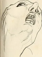 An illustration from L'art de connaitre les hommes par la physionomie (1806)