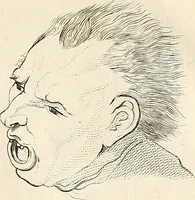 Picture 159 of 164 from L'art de connaitre les hommes par la physionomie (1806), leaf 472
