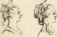 Picture 6 of 164 from L'art de connaitre les hommes par la physionomie (1806), leaf 64