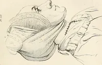 Picture 21 of 164 from L'art de connaitre les hommes par la physionomie (1806), leaf 96