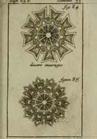 Picture 51 of 102 from L'art de fortifier, de defendre, et d'attaquer les places : suivant les methodes françoises, hollandoises, italiennes & espagnoles, le tout enrichy de figures en taille douce (1677), leaf 346