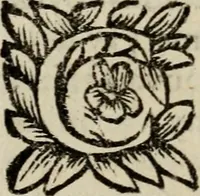 Picture 53 of 102 from L'art de fortifier, de defendre, et d'attaquer les places : suivant les methodes françoises, hollandoises, italiennes & espagnoles, le tout enrichy de figures en taille douce (1677), leaf 353