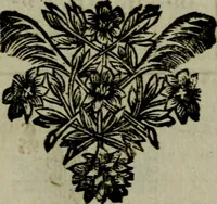 An illustration from L'art de fortifier, de defendre, et d'attaquer les places : suivant les methodes françoises, hollandoises, italiennes & espagnoles, le tout enrichy de figures en taille douce (1677)