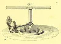 An illustration from L'art de l'indigotier (1770)