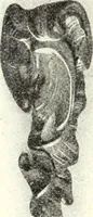 An illustration from L'art de reconnaître les styles: les styles régence et Louis XV; (1912)