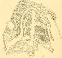 An illustration from L'art des jardins. Parcs--jardins--promenades--étude historique--principles de la composition des jardins--plantations--décoration pittoresque et artistique des parcs et jardins publics; traité pratique et didactique (1886)
