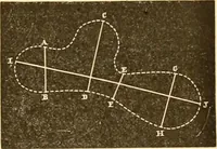 Picture 172 of 467 from L'art des jardins. Parcs--jardins--promenades--étude historique--principles de la composition des jardins--plantations--décoration pittoresque et artistique des parcs et jardins publics; traité pratique et didactique (1886), leaf 158
