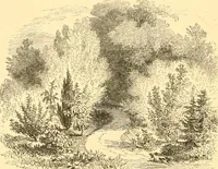 An illustration from L'art des jardins. Parcs--jardins--promenades--étude historique--principles de la composition des jardins--plantations--décoration pittoresque et artistique des parcs et jardins publics; traité pratique et didactique (1886)