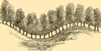 An illustration from L'art des jardins. Parcs--jardins--promenades--étude historique--principles de la composition des jardins--plantations--décoration pittoresque et artistique des parcs et jardins publics; traité pratique et didactique (1886)