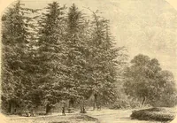 Picture 180 of 467 from L'art des jardins. Parcs--jardins--promenades--étude historique--principles de la composition des jardins--plantations--décoration pittoresque et artistique des parcs et jardins publics; traité pratique et didactique (1886), leaf 166