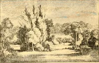 Picture 198 of 467 from L'art des jardins. Parcs--jardins--promenades--étude historique--principles de la composition des jardins--plantations--décoration pittoresque et artistique des parcs et jardins publics; traité pratique et didactique (1886), leaf 179