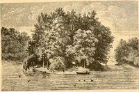Picture 206 of 467 from L'art des jardins. Parcs--jardins--promenades--étude historique--principles de la composition des jardins--plantations--décoration pittoresque et artistique des parcs et jardins publics; traité pratique et didactique (1886), leaf 184