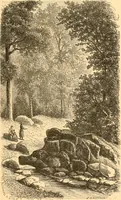An illustration from L'art des jardins. Parcs--jardins--promenades--étude historique--principles de la composition des jardins--plantations--décoration pittoresque et artistique des parcs et jardins publics; traité pratique et didactique (1886)