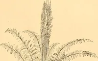 An illustration from L'art des jardins. Parcs--jardins--promenades--étude historique--principles de la composition des jardins--plantations--décoration pittoresque et artistique des parcs et jardins publics; traité pratique et didactique (1886)