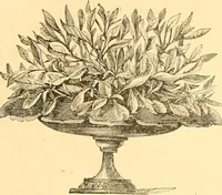 Picture 259 of 467 from L'art des jardins. Parcs--jardins--promenades--étude historique--principles de la composition des jardins--plantations--décoration pittoresque et artistique des parcs et jardins publics; traité pratique et didactique (1886), leaf 215