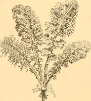 Picture 279 of 467 from L'art des jardins. Parcs--jardins--promenades--étude historique--principles de la composition des jardins--plantations--décoration pittoresque et artistique des parcs et jardins publics; traité pratique et didactique (1886), leaf 224