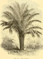 Picture 307 of 467 from L'art des jardins. Parcs--jardins--promenades--étude historique--principles de la composition des jardins--plantations--décoration pittoresque et artistique des parcs et jardins publics; traité pratique et didactique (1886), leaf 253