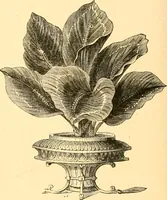 Picture 312 of 467 from L'art des jardins. Parcs--jardins--promenades--étude historique--principles de la composition des jardins--plantations--décoration pittoresque et artistique des parcs et jardins publics; traité pratique et didactique (1886), leaf 255