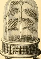 An illustration from L'art des jardins. Parcs--jardins--promenades--étude historique--principles de la composition des jardins--plantations--décoration pittoresque et artistique des parcs et jardins publics; traité pratique et didactique (1886)