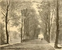 Picture 345 of 467 from L'art des jardins. Parcs--jardins--promenades--étude historique--principles de la composition des jardins--plantations--décoration pittoresque et artistique des parcs et jardins publics; traité pratique et didactique (1886), leaf 274
