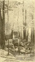 An illustration from L'art des jardins. Parcs--jardins--promenades--étude historique--principles de la composition des jardins--plantations--décoration pittoresque et artistique des parcs et jardins publics; traité pratique et didactique (1886)