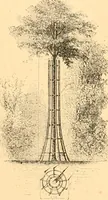 Picture 405 of 467 from L'art des jardins. Parcs--jardins--promenades--étude historique--principles de la composition des jardins--plantations--décoration pittoresque et artistique des parcs et jardins publics; traité pratique et didactique (1886), leaf 326
