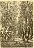 An illustration from L'art des jardins. Parcs--jardins--promenades--étude historique--principles de la composition des jardins--plantations--décoration pittoresque et artistique des parcs et jardins publics; traité pratique et didactique (1886)