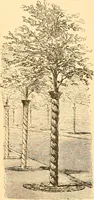 Picture 431 of 467 from L'art des jardins. Parcs--jardins--promenades--étude historique--principles de la composition des jardins--plantations--décoration pittoresque et artistique des parcs et jardins publics; traité pratique et didactique (1886), leaf 346