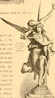 An illustration from L'art des jardins. Parcs--jardins--promenades--étude historique--principles de la composition des jardins--plantations--décoration pittoresque et artistique des parcs et jardins publics; traité pratique et didactique (1886)