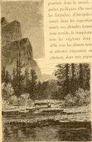 An illustration from L'art des jardins. Parcs--jardins--promenades--étude historique--principles de la composition des jardins--plantations--décoration pittoresque et artistique des parcs et jardins publics; traité pratique et didactique (1886)